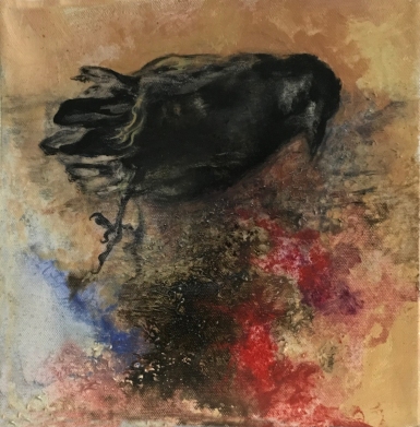 American-Crow