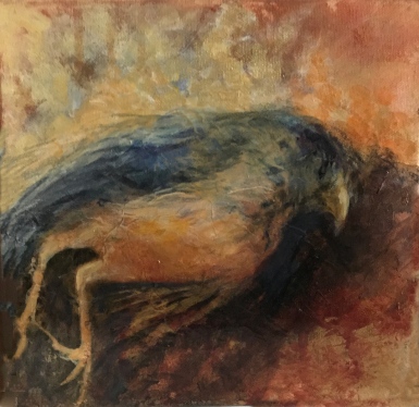 Coopers-Hawk
