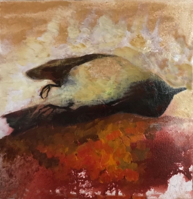 Least-Flycatcher