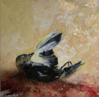 Swallow
